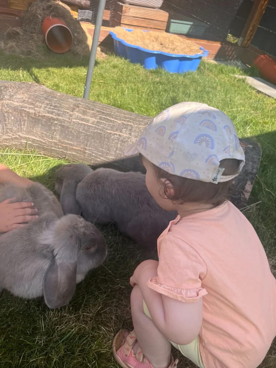 Ein Kind streichelt die Kaninchen Yuki und Holly im Garten